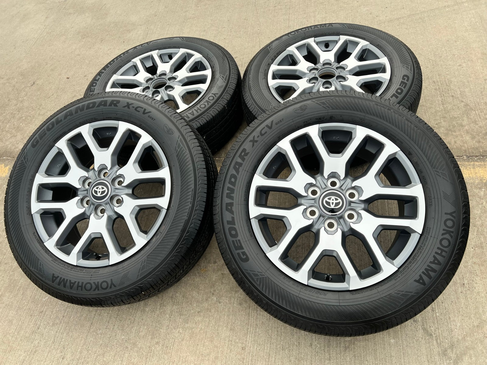 Shop OEM 20