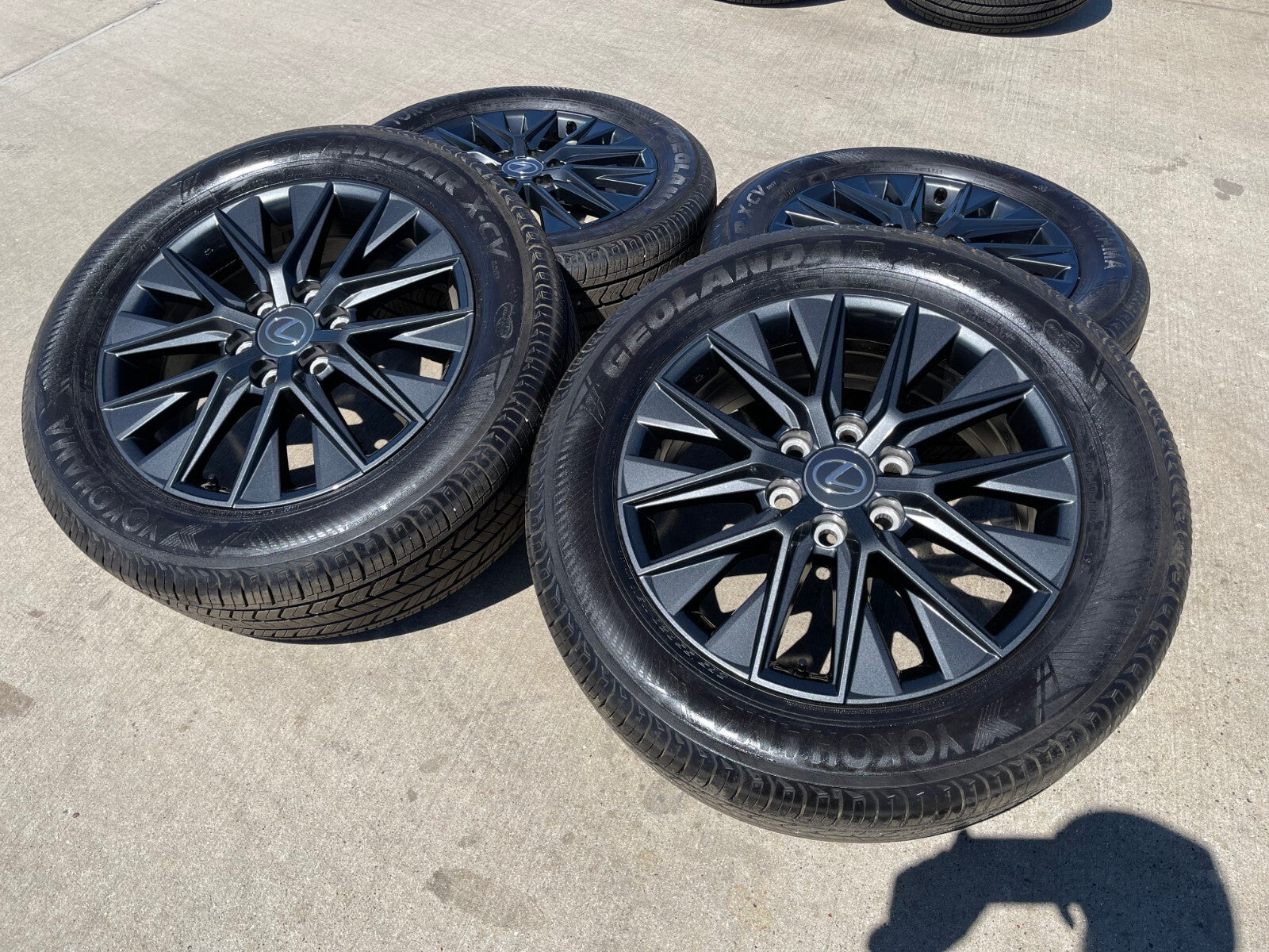 Shop OEM 20