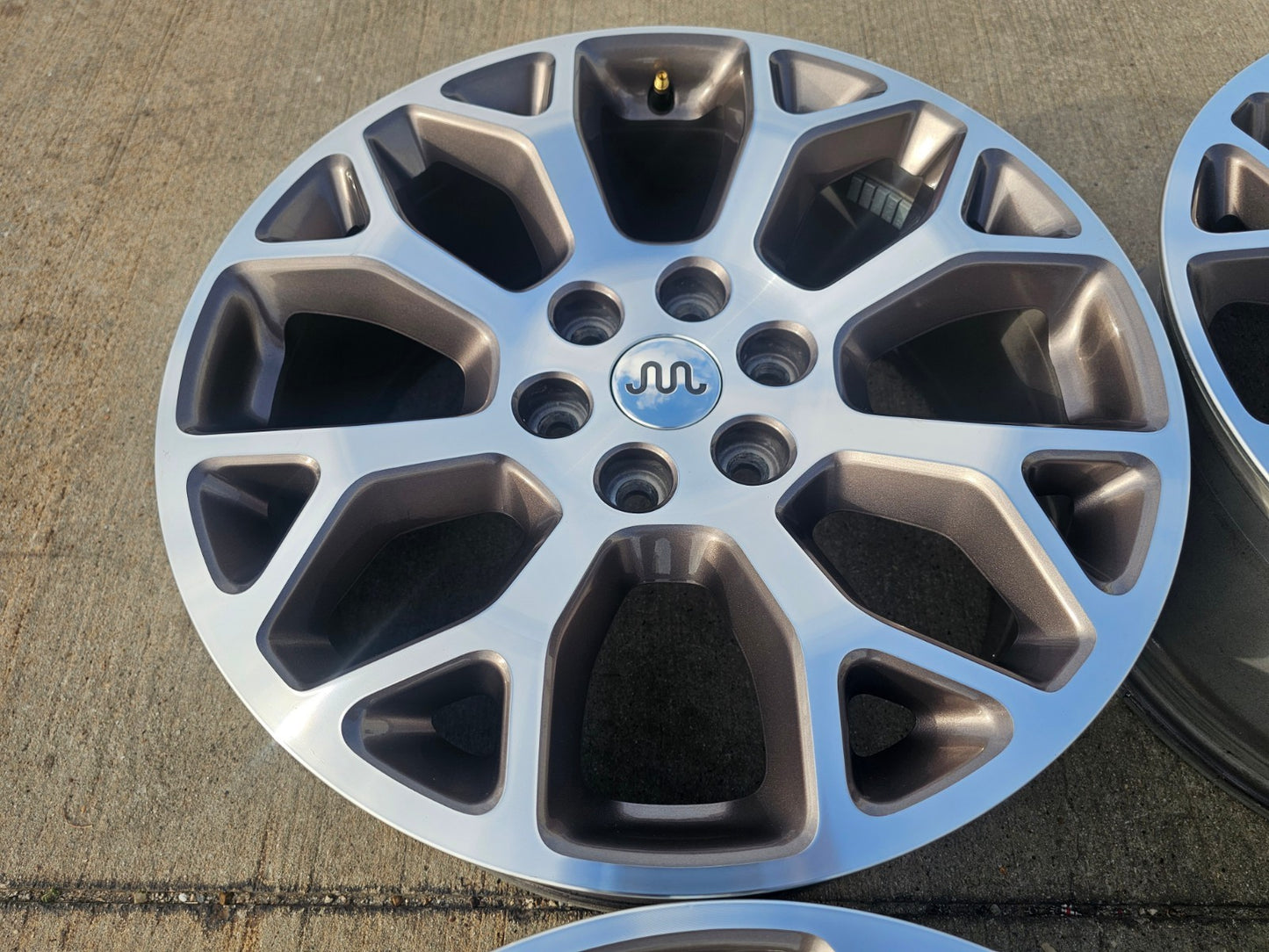 20" Ford F-150 KING RANCH OEM 10346 rims wheels Expedition 2024 2025 2026