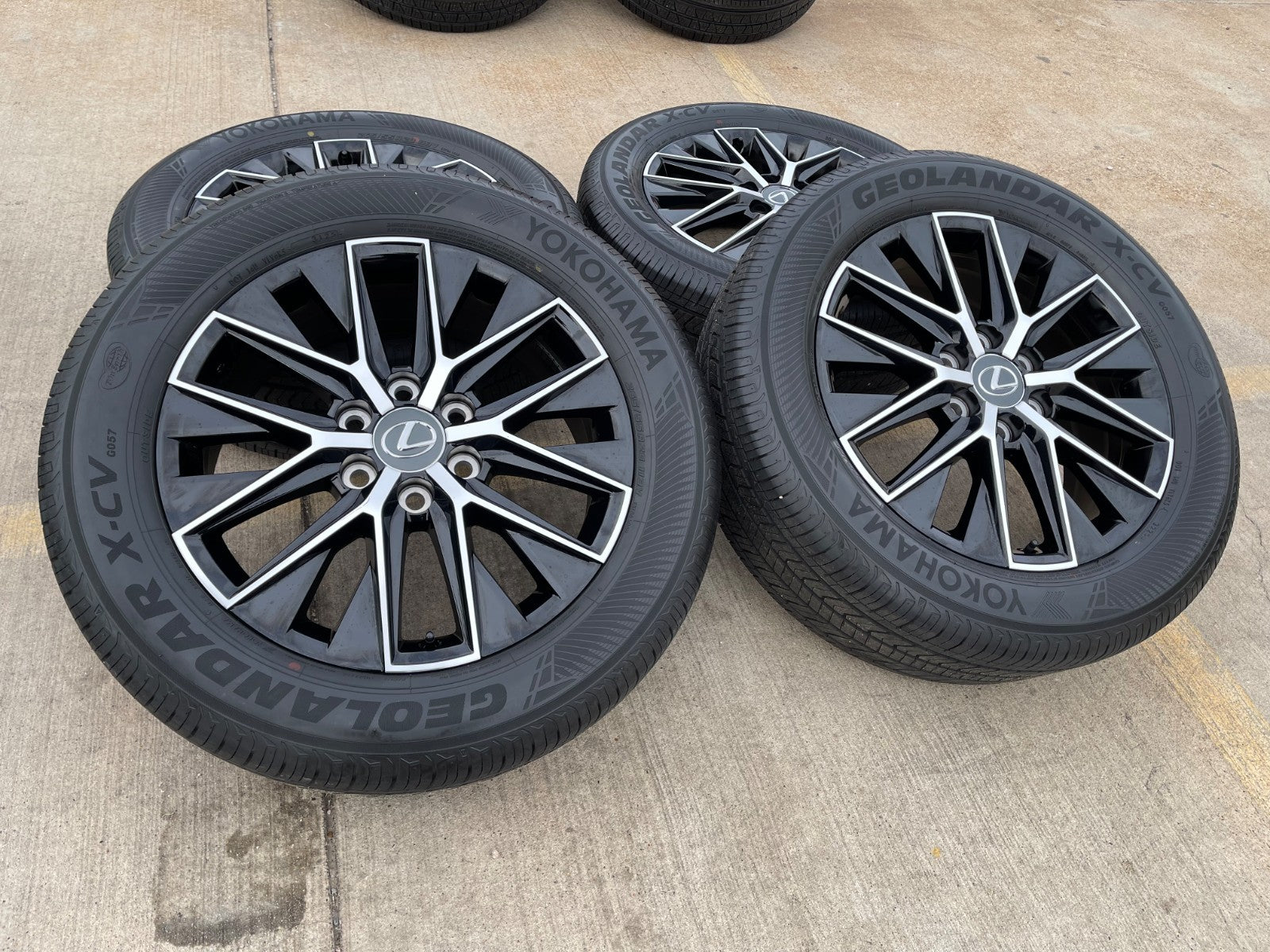 Shop OEM 20