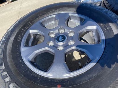 17" Ford Bronco Big Bend wheels rims 10384 OEM Ranger 2023 2024 2025 2026 NEW