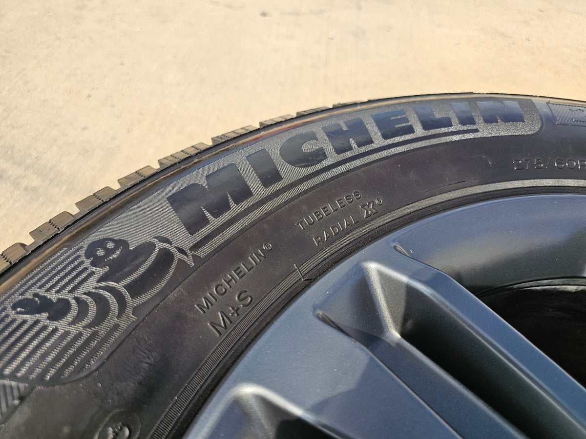 20" Ford F-150 FX-4 PLATINUM OEM rim wheel 10344 Expedition MICHELIN single