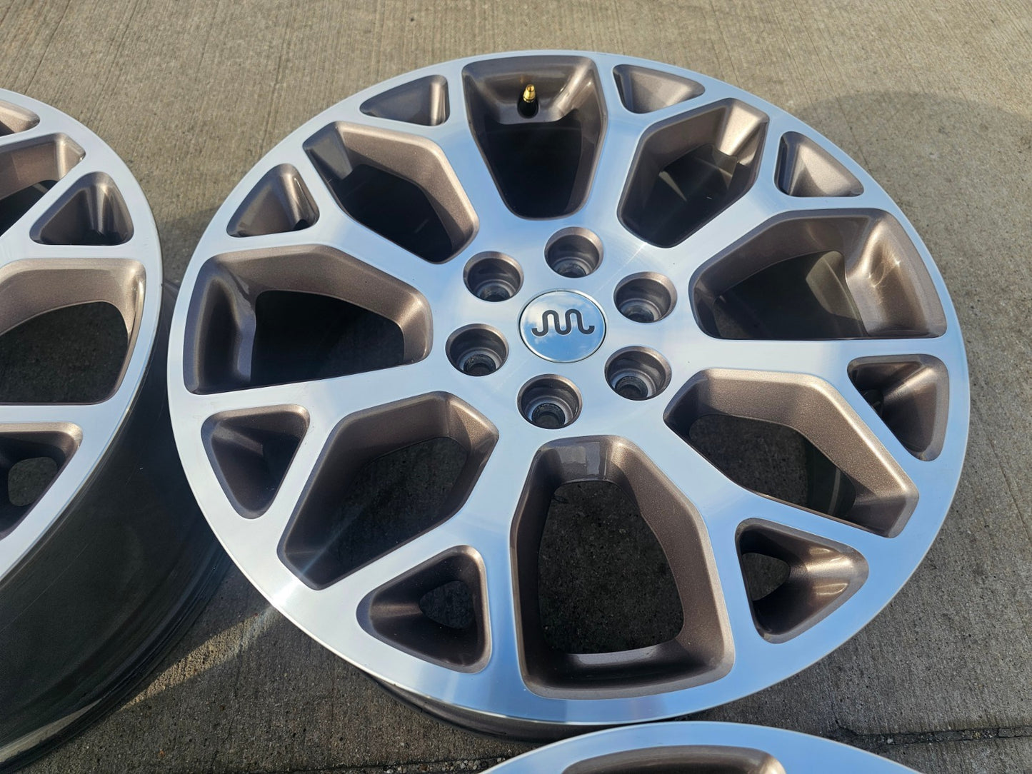 20" Ford F-150 KING RANCH OEM 10346 rims wheels Expedition 2024 2025 2026