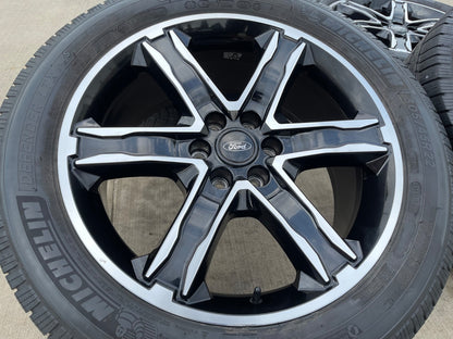 22" Ford F-150 Expedition PERFORMANCE OEM 10200 rims wheels MICHELIN