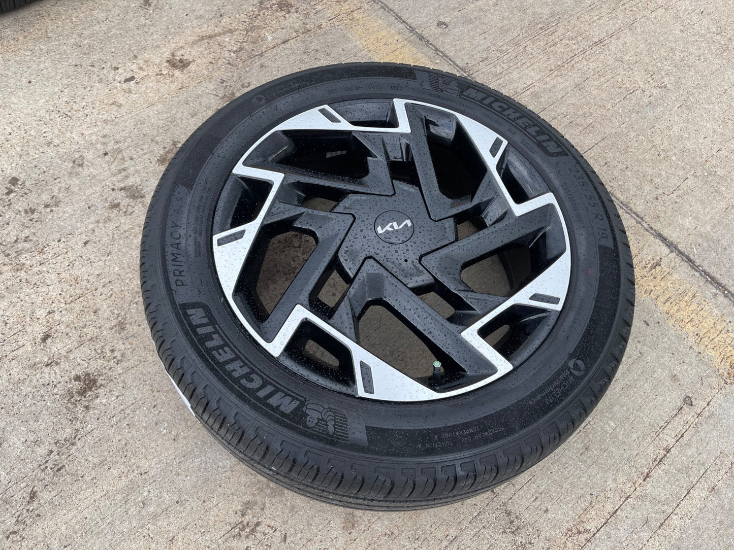 (1) 19" Kia Sportage Sorento Carnival OEM 74643 wheel rim spare 2024 2025 2026