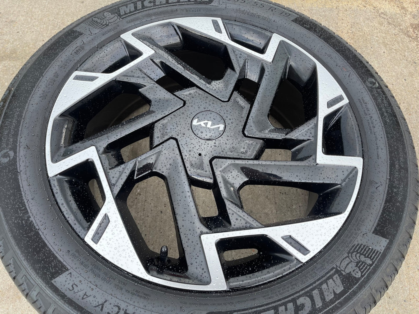 (1) 19" Kia Sportage Sorento Carnival OEM 74643 wheel rim spare 2024 2025 2026