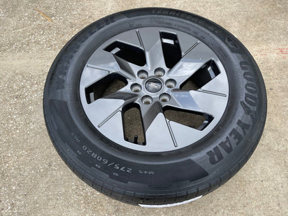 20" Ford F-150 Lightning LIMITED OEM rim wheel 10471 Expedition 2023 2024 2025
