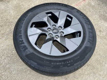 20" Ford F-150 Lightning LIMITED OEM rim wheel 10471 Expedition 2023 2024 2025