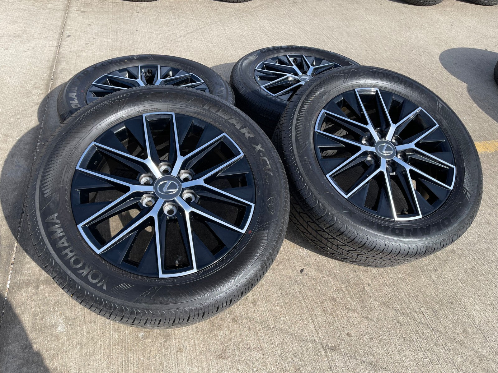 Shop OEM 20