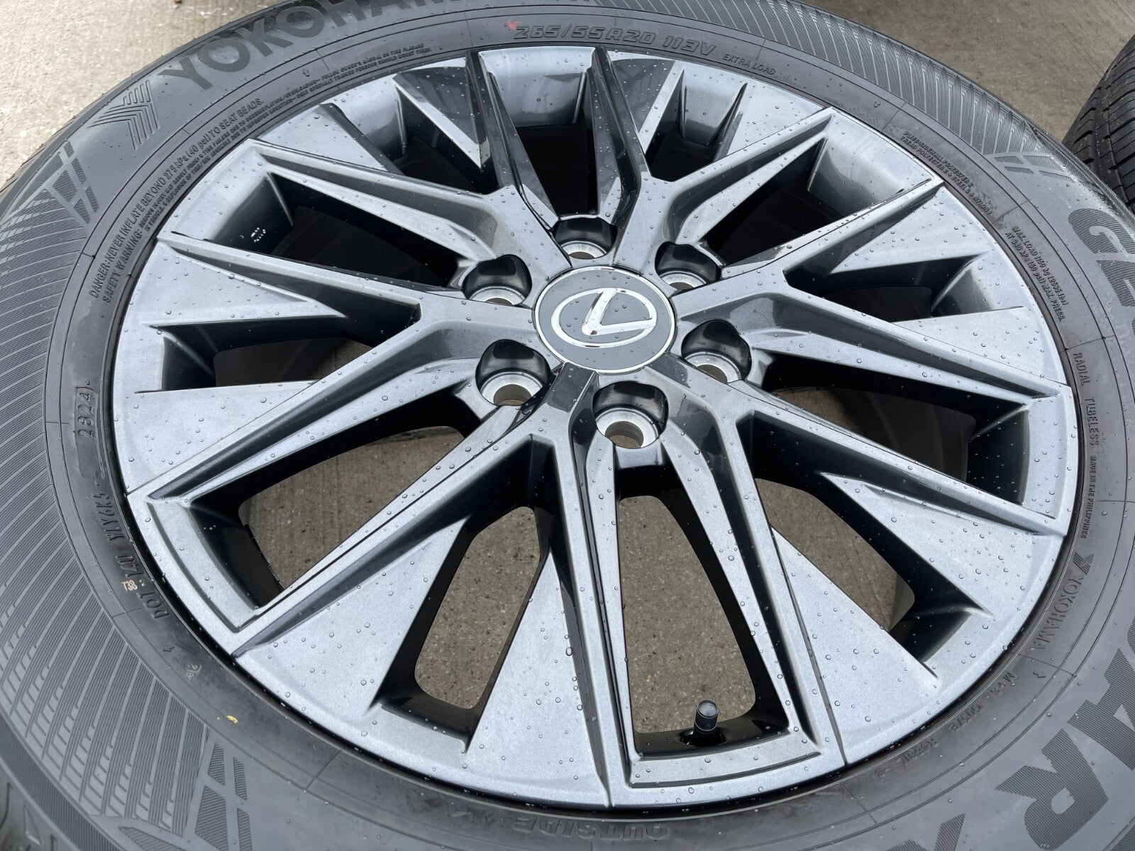 キンタロー Shop OEM 20