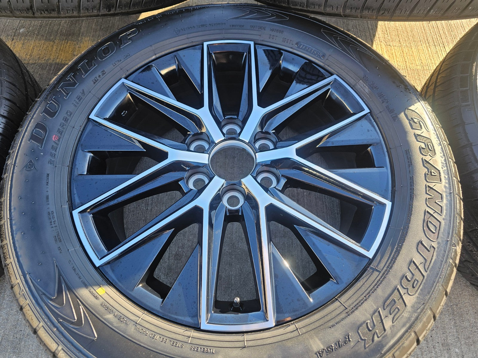 Shop OEM 20