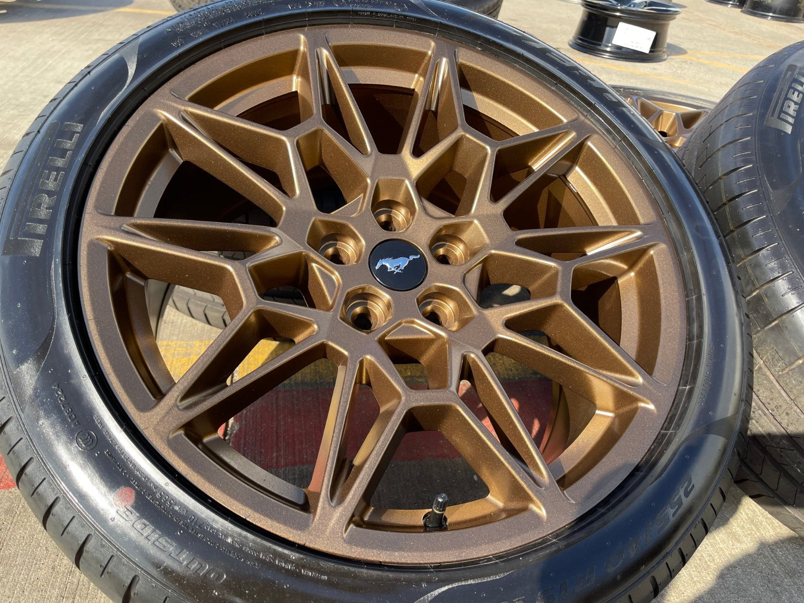 Shop OEM 19